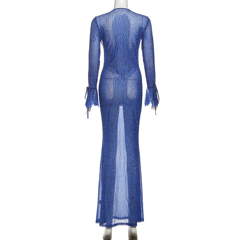 Blue sheer dress on a white background