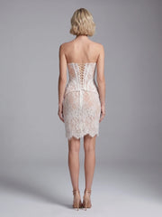 Lace Strapless Corset Top and Mini Skirt Set