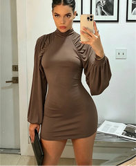 Ruched Mock Neck Long Sleeve Mini Dress
