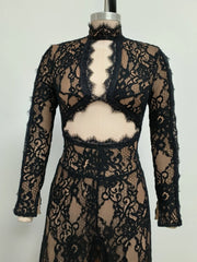 Lace Mock Neck Cutout Long Sleeve Maxi Dress