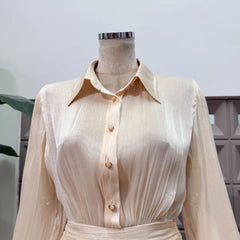 Shimmer lapel mini dress neckline detail