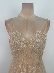 Sheer Beige Floral Embellished V-Neck Mini Dress