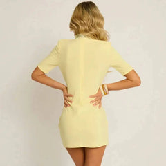 Mock Neck Lace Hollow Out Trim Mini Dress
