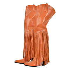 Fringed Pointed Toe Heeled Boots