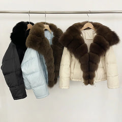 Three puffer jackets with fur collars on hangers against a white background