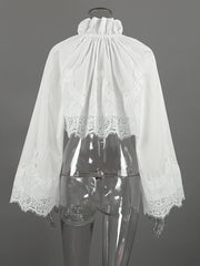 Lace Trimmed Cropped Blouse