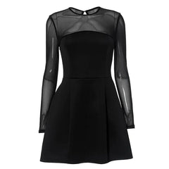 Black Mesh Long Sleeve A-Line Mini Dress