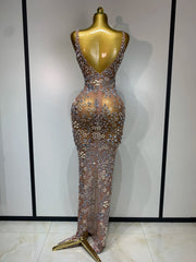 Embellished mesh column dress back view