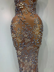 Sequin Embellished Mesh Column Dress
