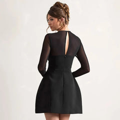 Black Mesh Long Sleeve A-Line Mini Dress