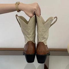 Mixed Color Pointed Toe Ankle Boots