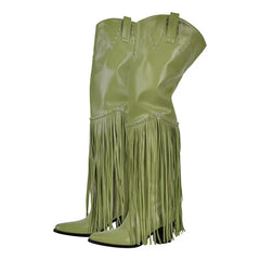 Fringed Pointed Toe Heeled Boots