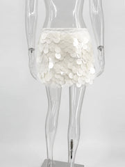 Sequined Beaded A-Line Mini Skirt