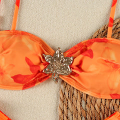 Printed Mesh Skirt and Bikini Top Swimwear Set