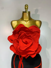 3d Rose Applique Bandage Long Dress