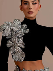 Flower Embellished Turtleneck Top and Skirt Set
