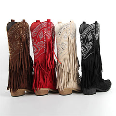 Fringed Pointed Toe Embroidered Cowgirl Boots