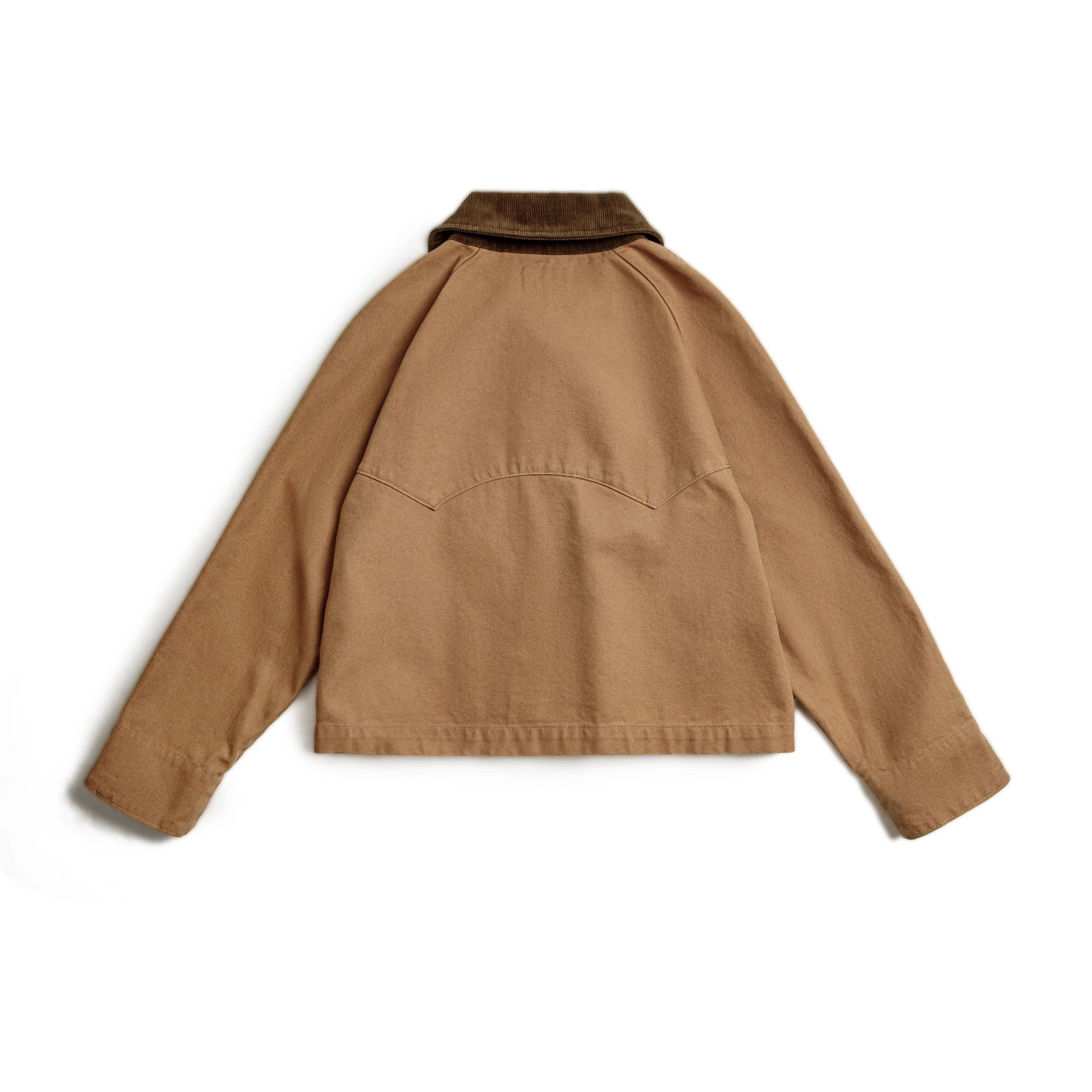 Brown jacket on a white background