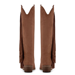 Back view of fringe detail pointed toe western boots