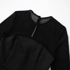 Black Mesh Long Sleeve A-Line Mini Dress