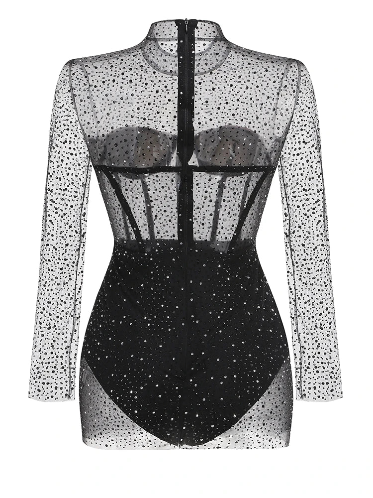 Black and white sheer bodysuit with long sleeves on a white background