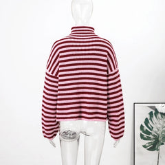 Striped High Neck Zip Sweater
