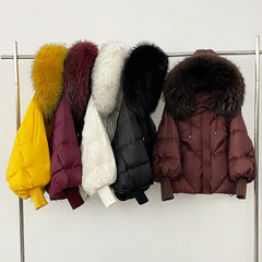 Five fur-hooded down puffer jackets in yellow, burgundy, white, black and brown displayed on a rack against a studio backdrop.
