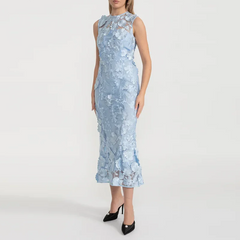 Elegant mesh midi dress styled for a formal event on a white background