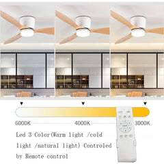 DC Motor 6 Speeds Remote Control Ceiling Fan With/Without LED Light