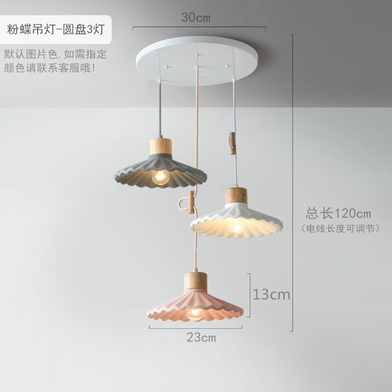 Simple LED Pendant Hanging Lamp Lighting