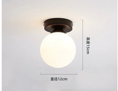 Modern Simple Round Glass Ball Ceiling Lamp