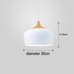 Hanging Aluminum Lampshade Pendant Lights - Golden Atelier