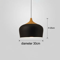 Hanging Aluminum Lampshade Pendant Lights - Golden Atelier