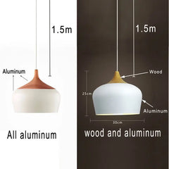 Hanging Aluminum Lampshade Pendant Lights - Golden Atelier