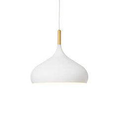 Nordic LED Pendant Lights for Living Room Kitchen Café Dining Table Décor - Golden Atelier