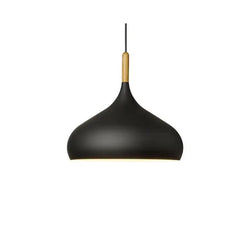 Nordic LED Pendant Lights for Living Room Kitchen Café Dining Table Décor - Golden Atelier