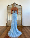 Light Blue /Custom Color Lace Embroidery Mermaid Prom Dress