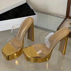 Platform Chunky High Heels Transparent Shoes