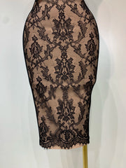 Sleeveless V-Neck Lace Overlay Body-Con Midi Dress
