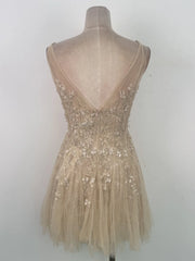 Sheer Beige Floral Embellished V-Neck Mini Dress