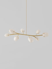  Close-up of the chandelier, showcasing its delicate flower bud design and intricate details. Golden Atelier 3