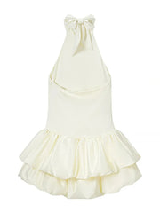 Turtleneck Sleeveless Ruffled Mini Dress