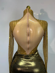 Sequin Sheer Long Sleeve Turtleneck Metallic Draped Mini Dress