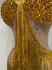 Rhinestone Fringe Bodycon Long Dress