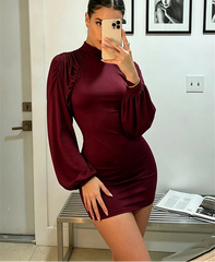 Burgundy ruched mock neck long sleeve mini dress