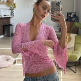 See Through V-neck Long Sleeve Lace Top