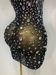 Rhinestone Sheer Bodycon Mini Dress
