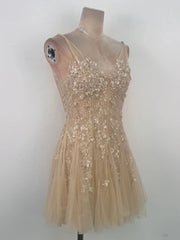 Sheer Beige Floral Embellished V-Neck Mini Dress