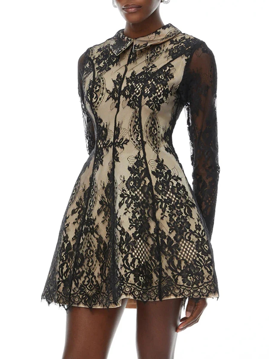 Black lace dress on a white background