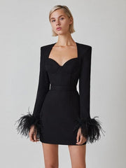 Long Sleeve Feathers Mini Bodycon Dress